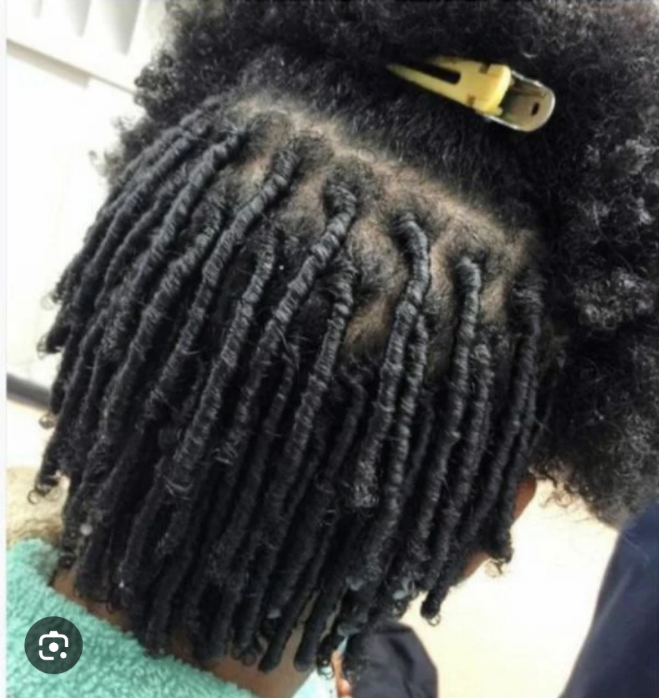 Coils (Comb Twist)