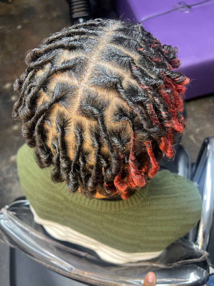 Starter Locs