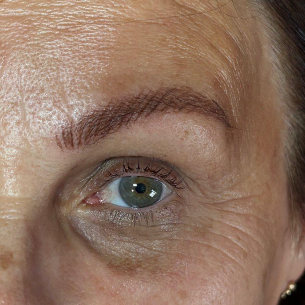 Model Nano Brows at Lashfairy in Tampa, FL