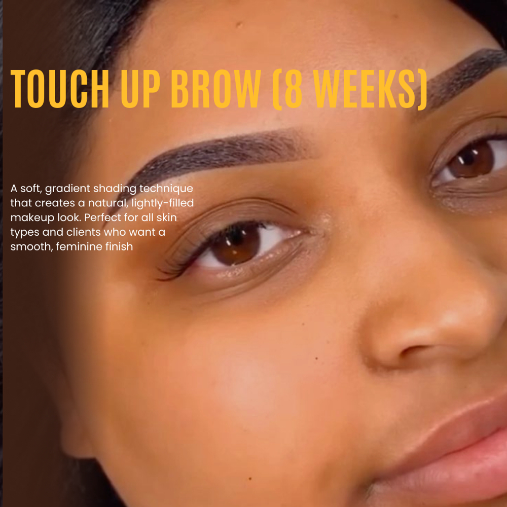 Touch Up After 8 Weeks at BrowsByAlee in Columbus, OH