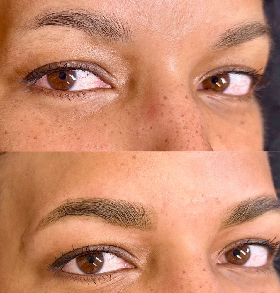 Brow Tint + Wax
