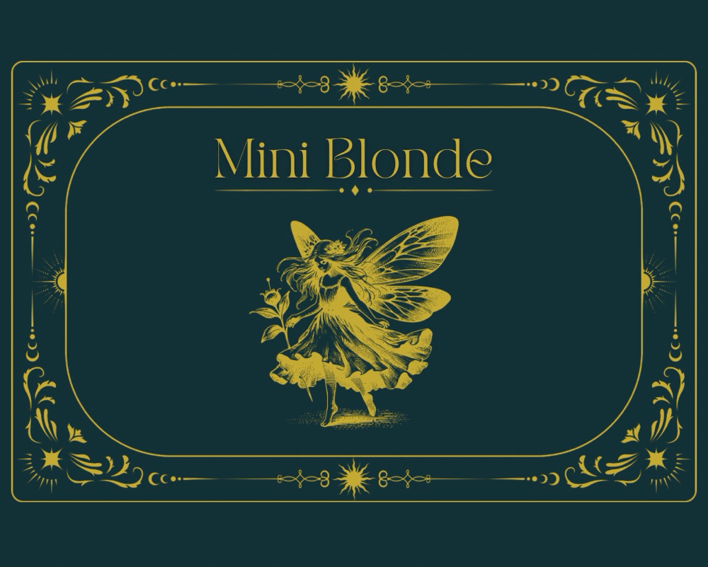 Mini Blonding Package