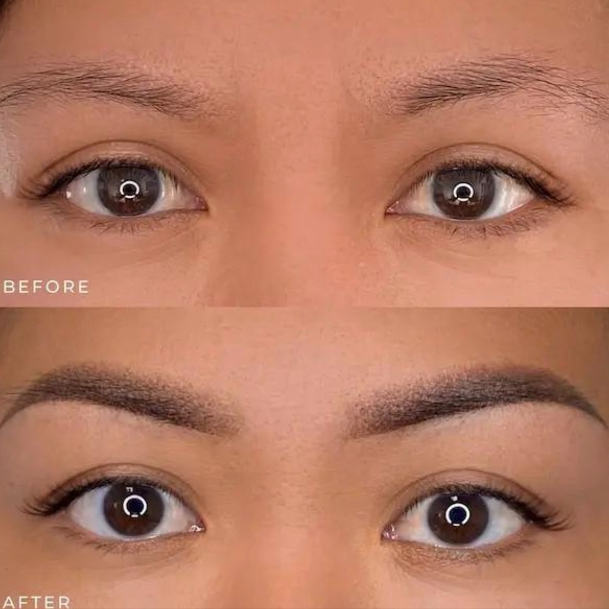 OMBRE POWDER BROWS at PRETTY LASH STUDIOS in North Haledon, NJ
