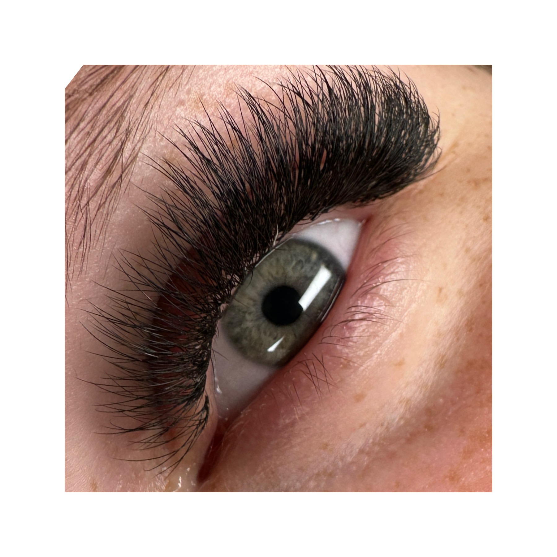 LASHES: 3 Week Fill In