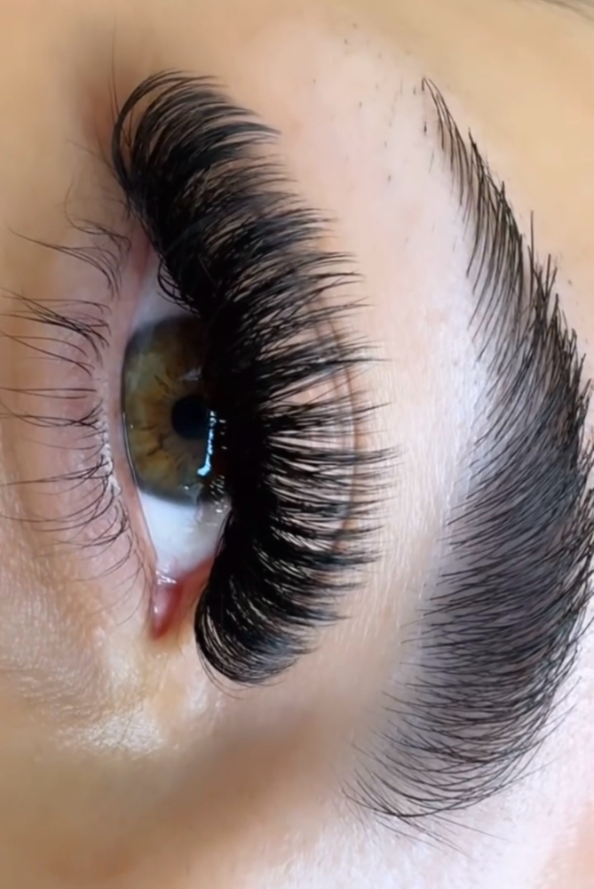 Volume Full Set Of Lashes