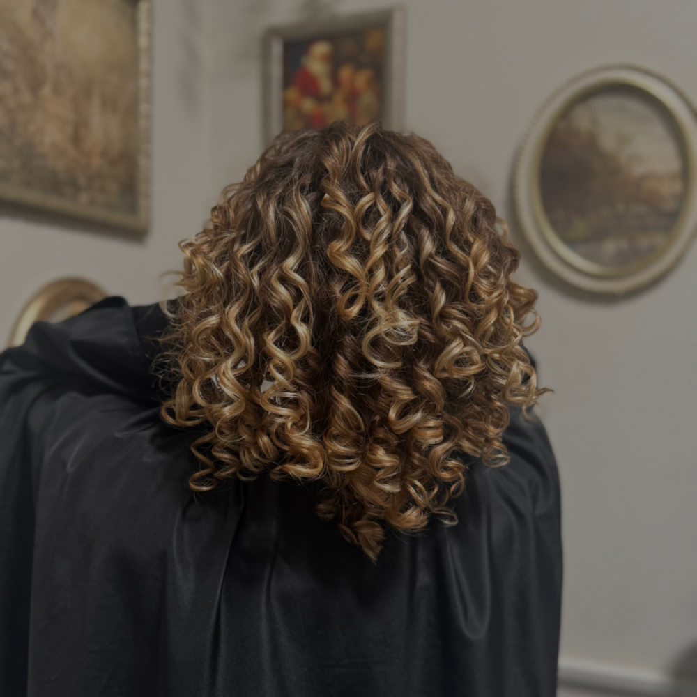 Curly Cut at Moore and Mane in Bonita Springs, FL