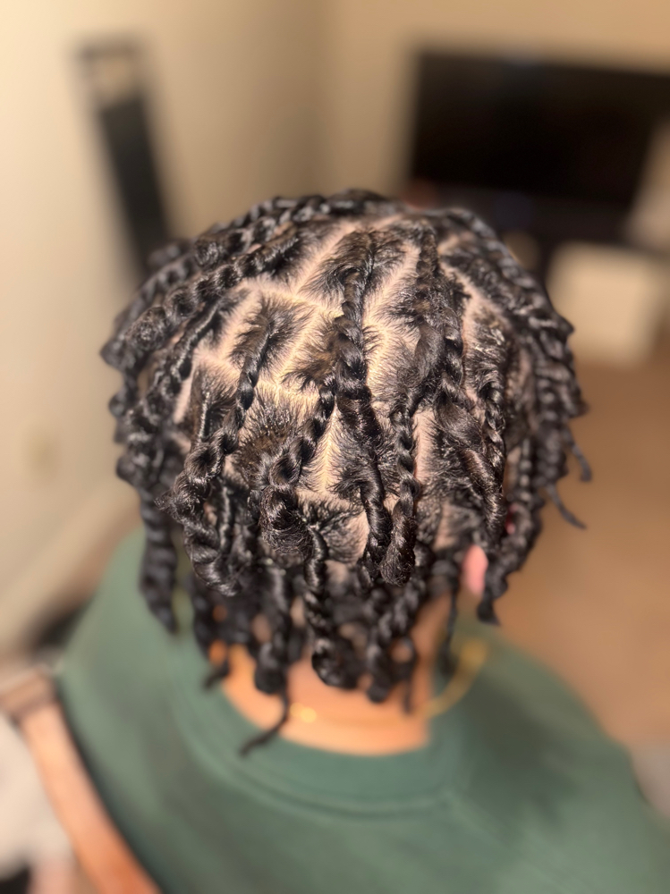 Medium-large Starter Locs at Ms. Ashley & Co. in Canton, MI
