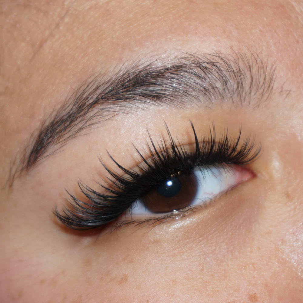 Hybrid Fill | 2 Weeks