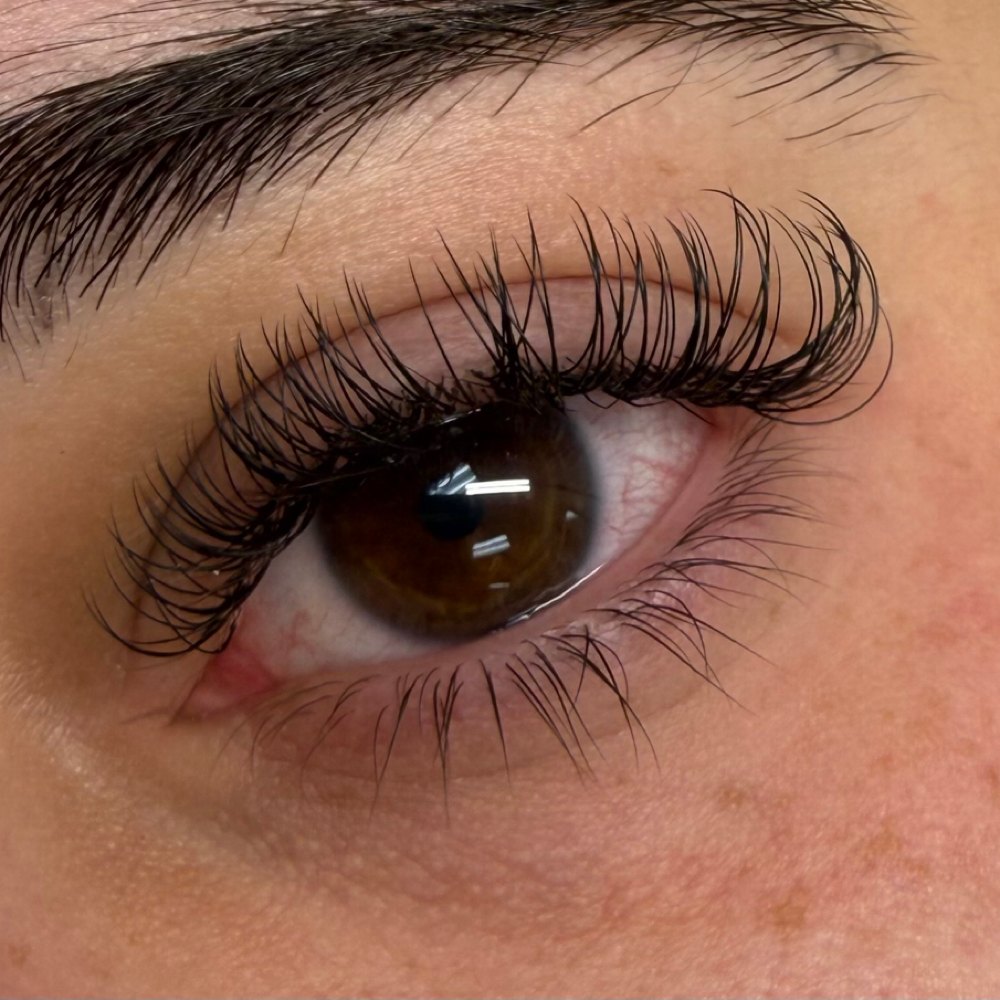 Classic Lashes Full Set at Saige Salon in Hickory, NC