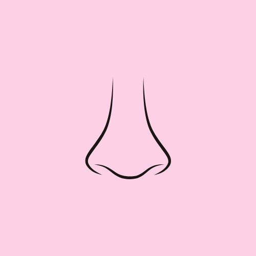 Nostrils