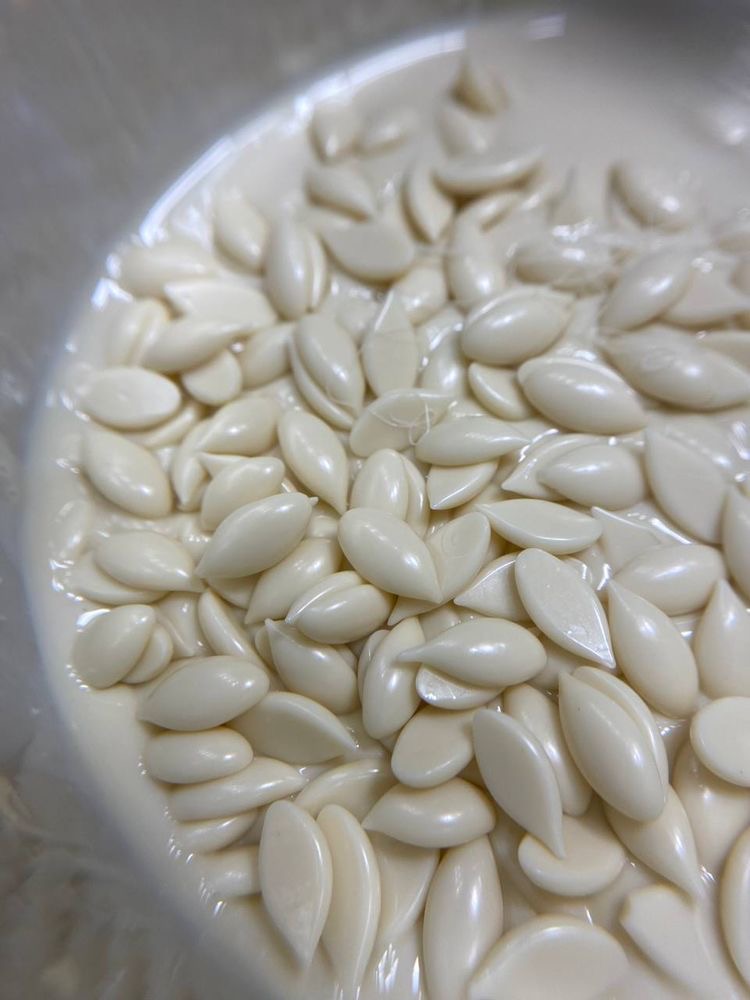 Lip Wax at IKONIK BEAUTY BAR in Eastchester, NY