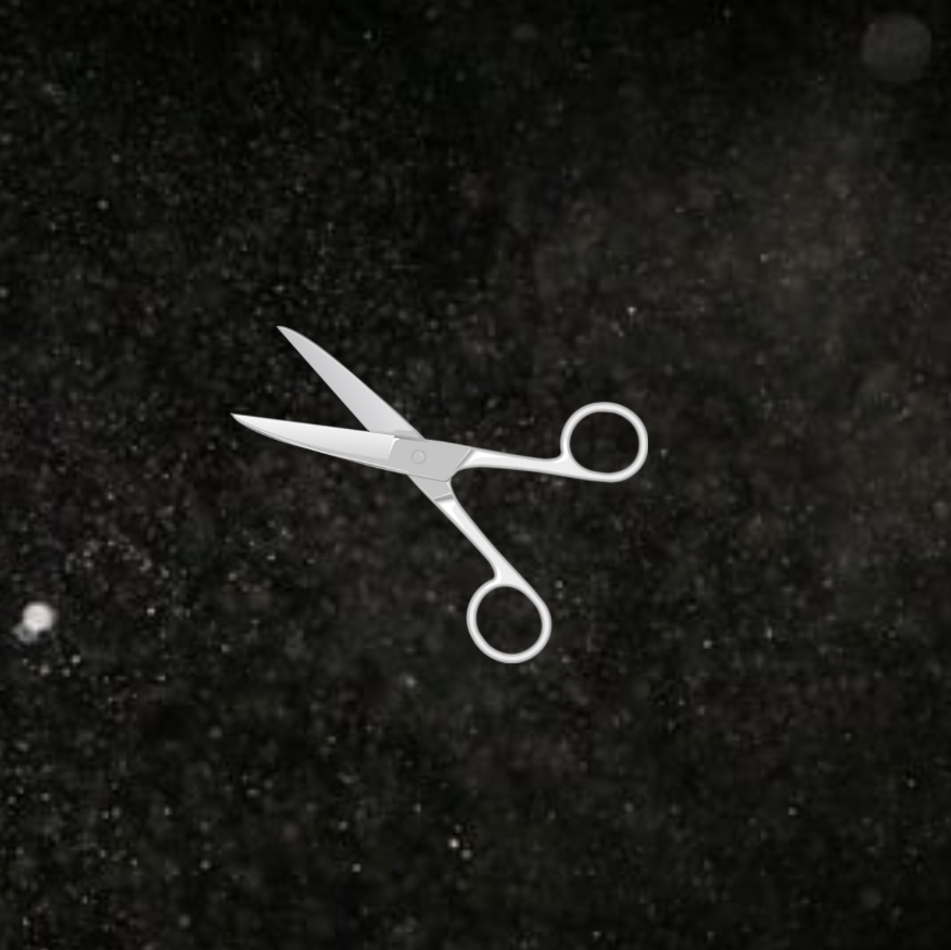 Mens shampoo/cut/style