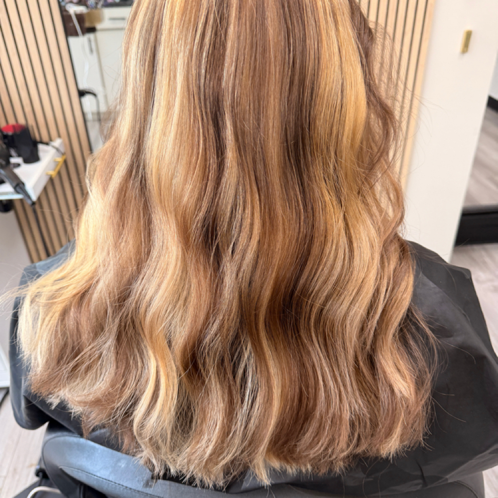 Partial Highlight W/Toning at BEL NOVA HAIR STUDIO in Mansfield, TX