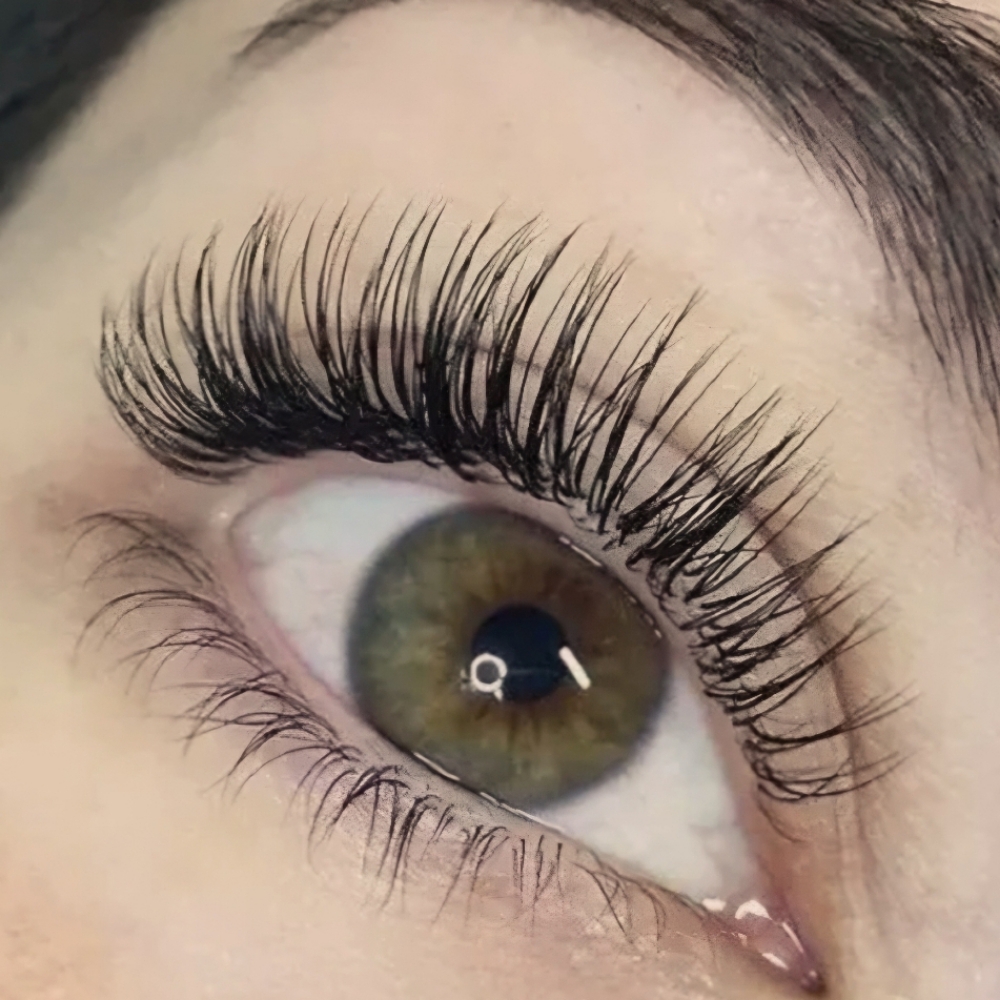 The Lash Club- Classic at Coiffeur Salon & Boutique in Loveland, CO