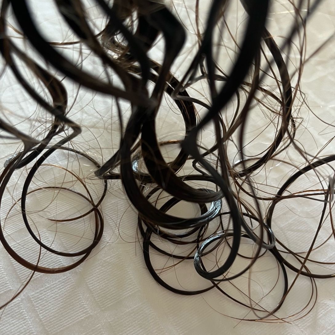 DeLuxe Curly Cut (No Style) at Luxe Texture Studio in Glen Ellyn, IL