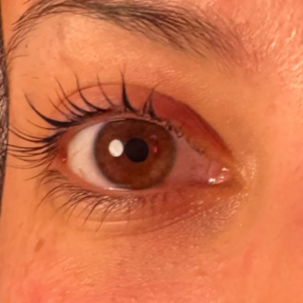 Korean Lash Lift With Tint at GorJess Beauty LLC in Dallas, TX