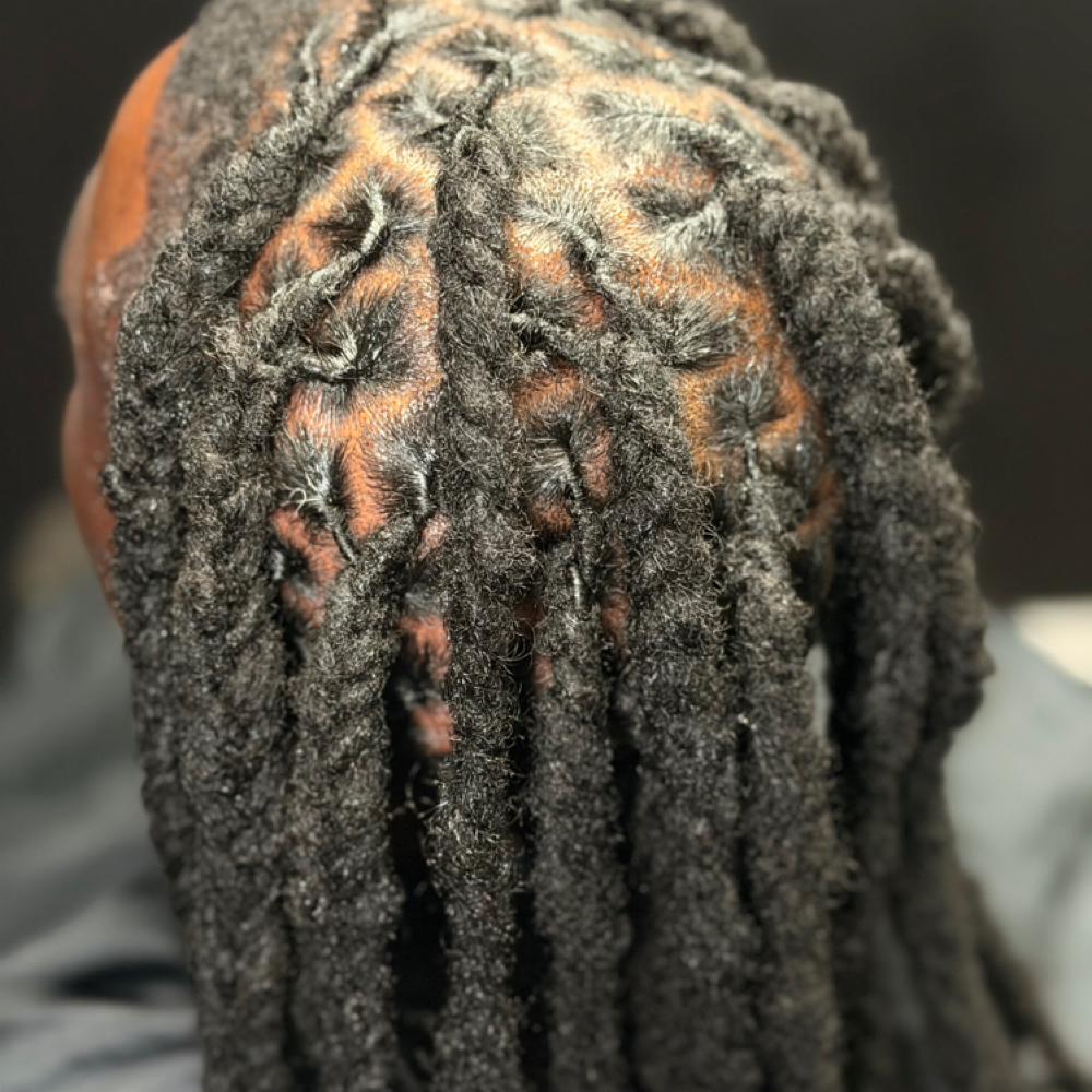 Retwist No Style M - L at Crowned By Victoria in Birmingham, AL