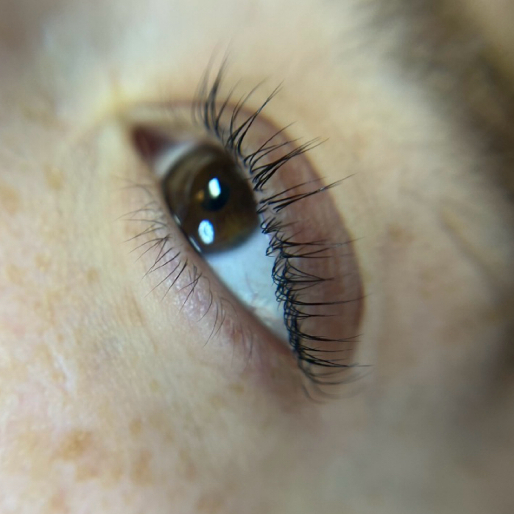 Lash Lift & Tint at Feather & Stone Lash Co. in Medford, OR
