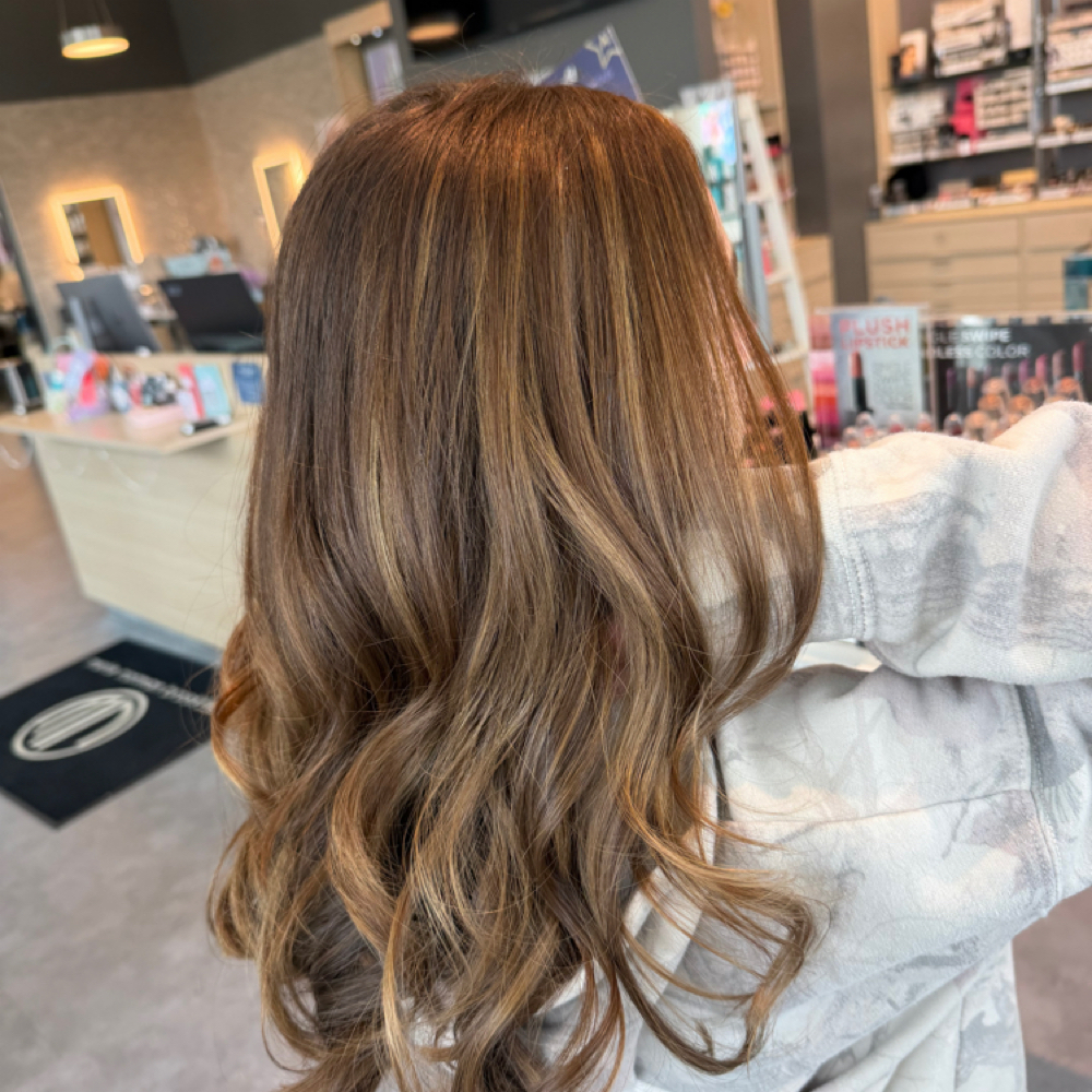 Balayage at Alnoor beautyhouse in Brookfield, WI