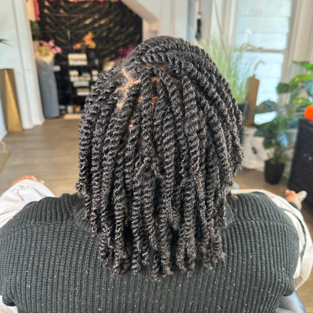 Two twist strand with natural hair! at Chanel’s Transformation Beauty Bar in Warner Robins, GA