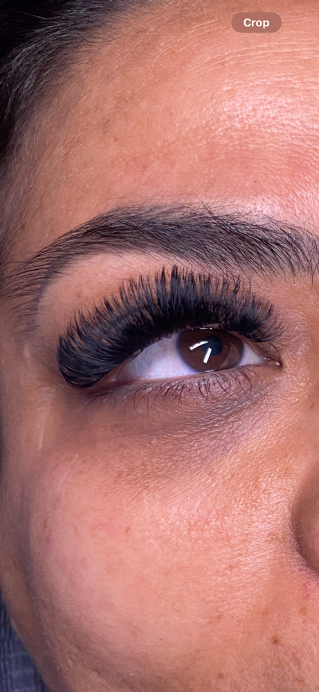 Volume / Hybrid Lashes