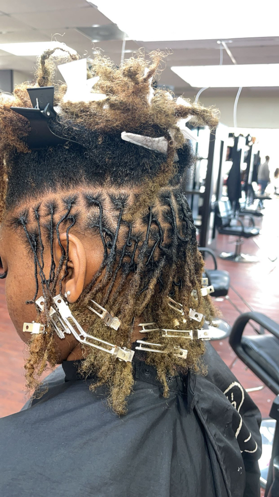 Loc Retwist