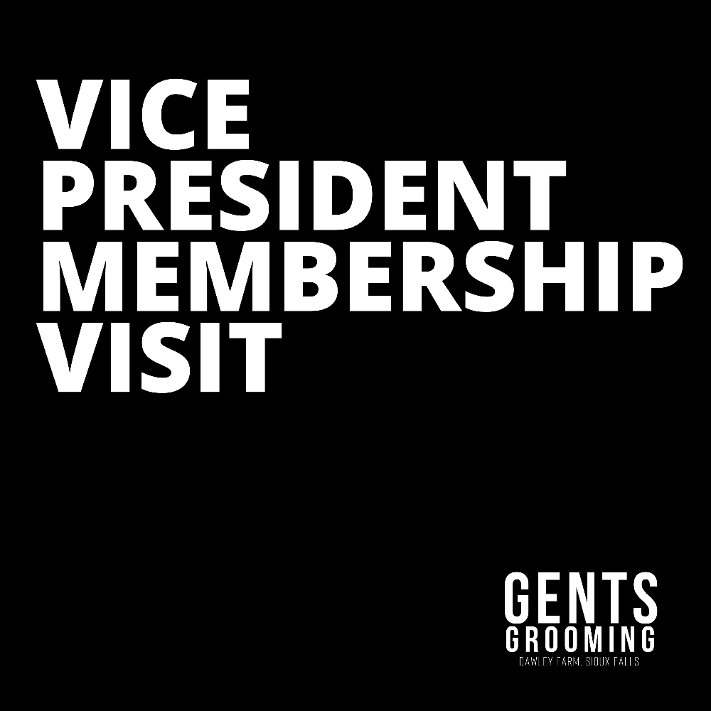 The Vice President Membership