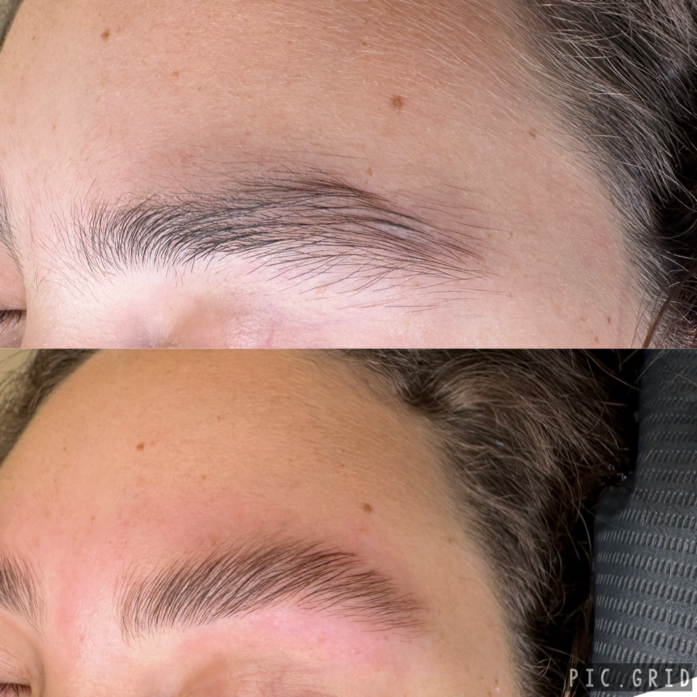 Eyebrow Lamination