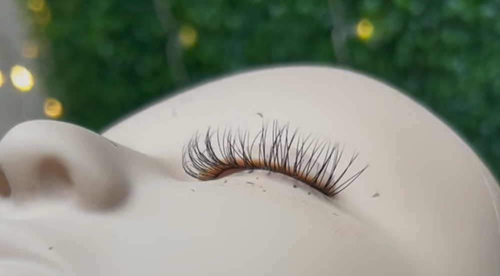 Classic Lash 2 Week Fill at Brandies Beauty Boutique in Pueblo West, CO