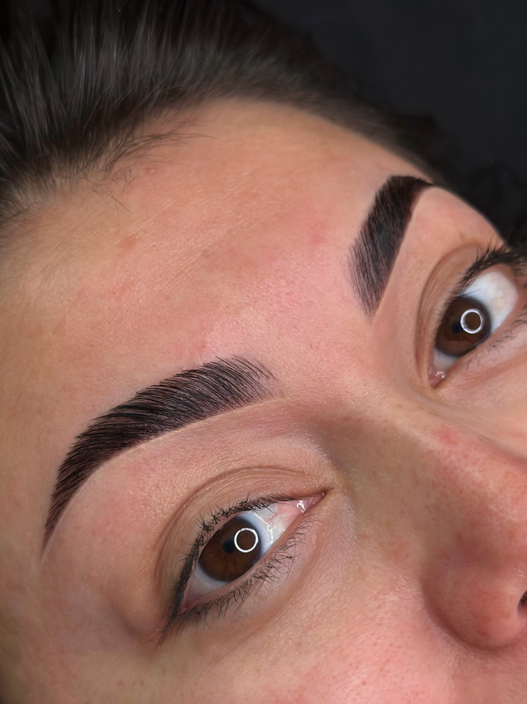 Brow Lamination + Stain at Morena Beauty Co. in Queen Creek, AZ