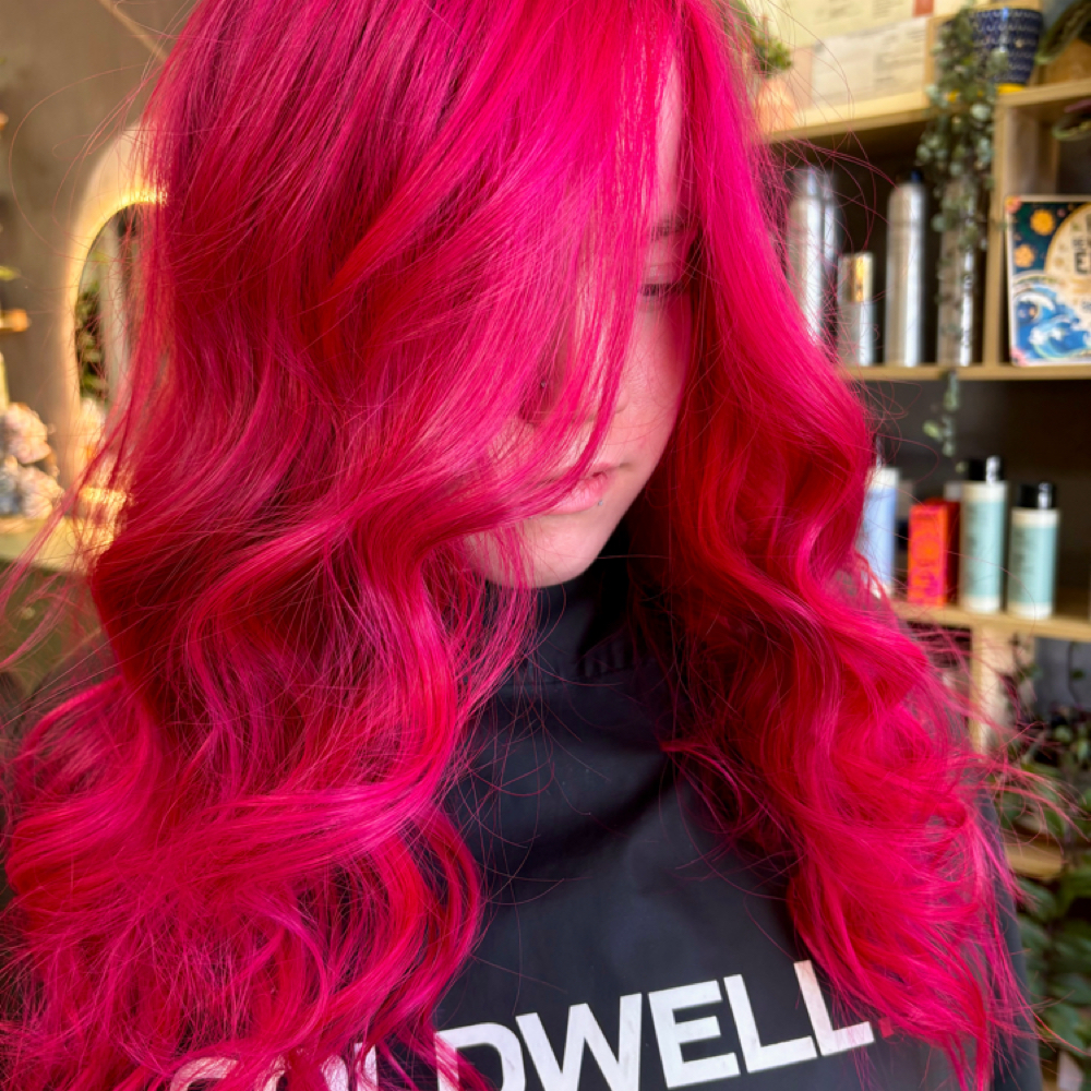 Full Vivid Color at Monica Busch Beauty in Reno, NV