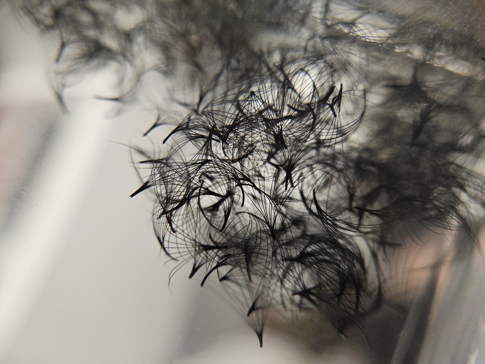 Full Set Lashes