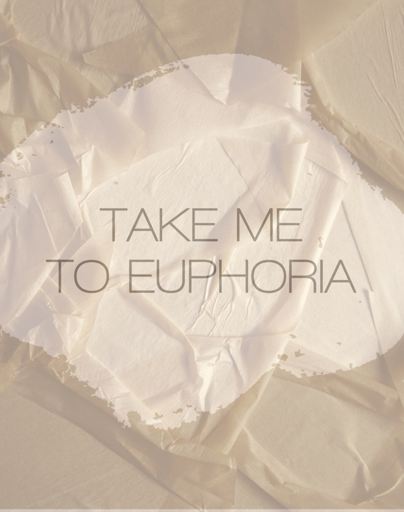 Take Me To Euphoria