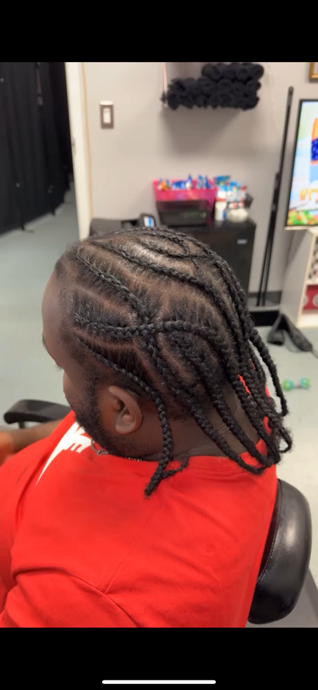 Freestyle Braids