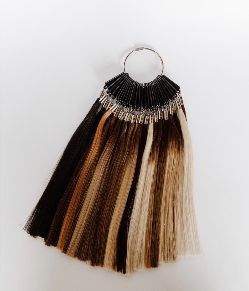 EXTENSION CONSULTATION