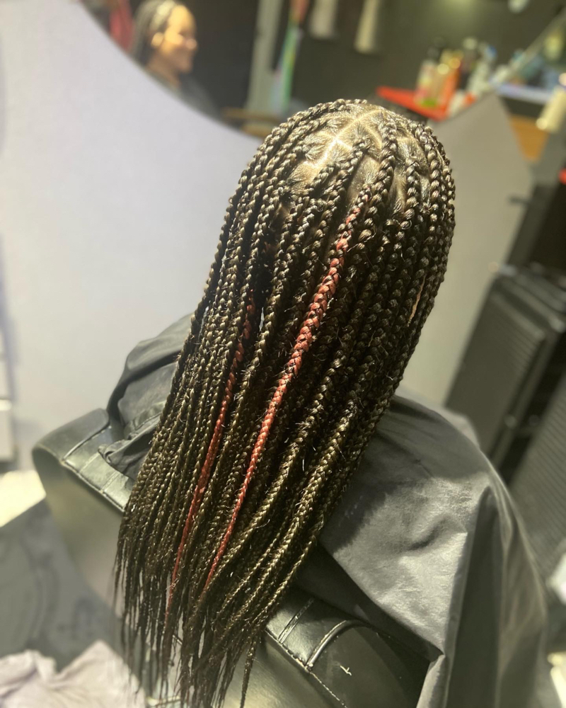 Knotless Braids Medium Mid Back