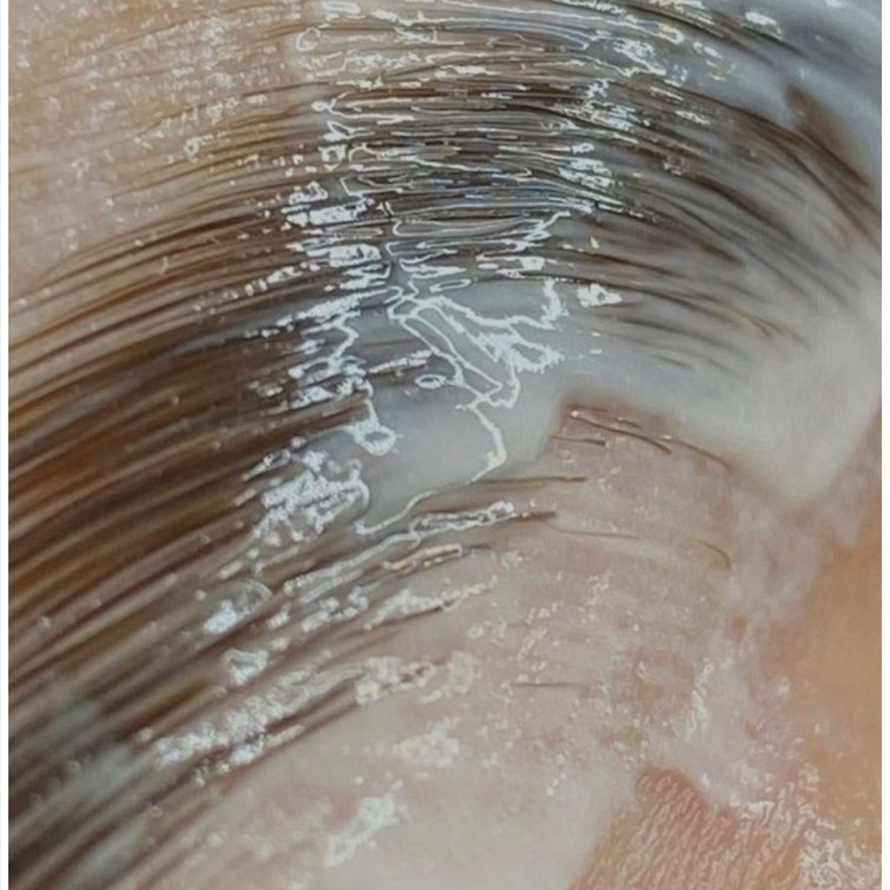 Brow Lamination + Tint