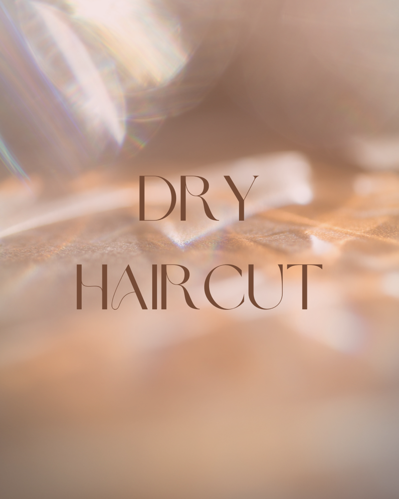 Dry Haircut