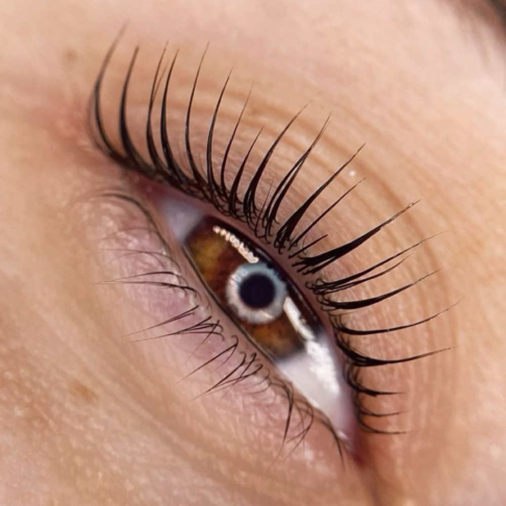 KOREAN LASH LIFT MODEL at LUST LASHES AZ in Glendale, AZ