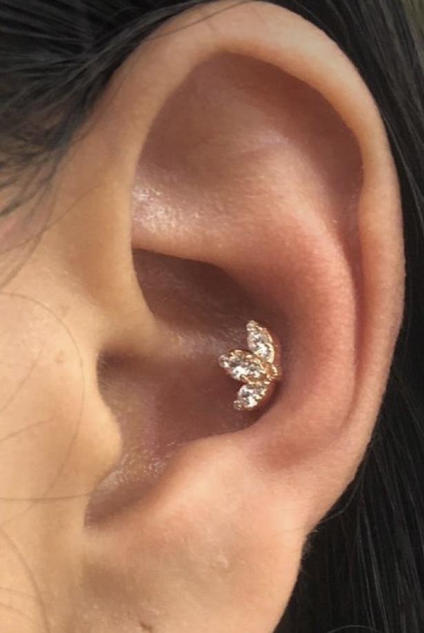 Conch Piercing