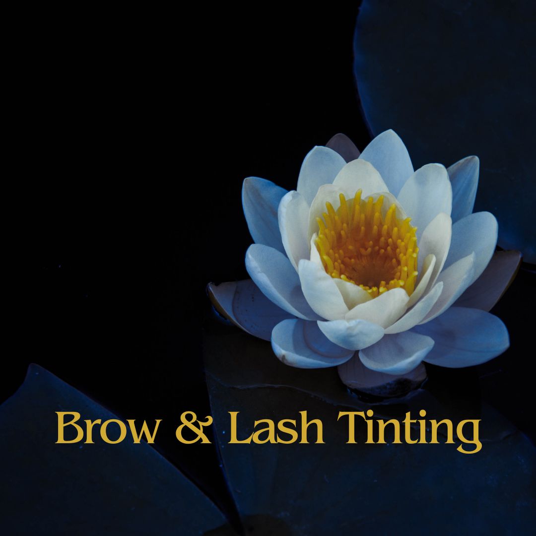 Brow & Lash Tinting at Blue Lotus Beauty Spa in Sheboygan, WI
