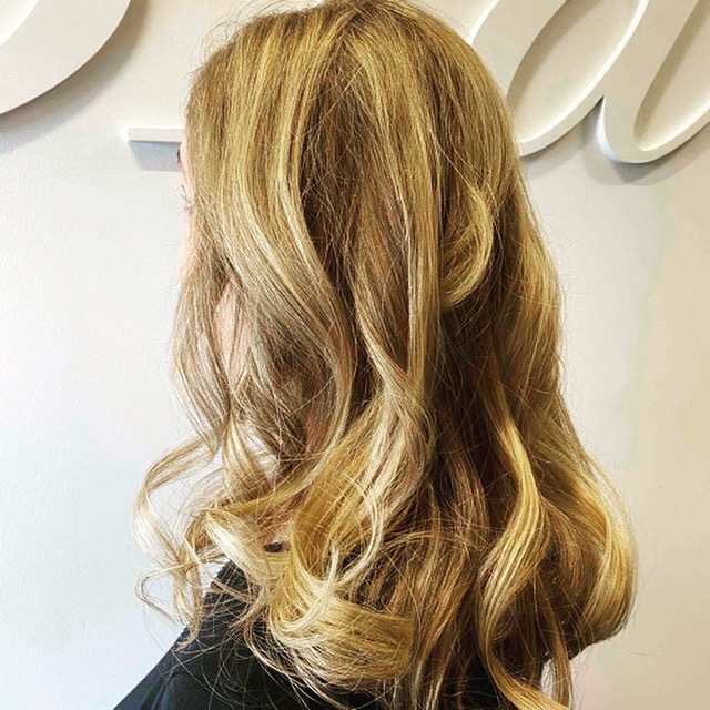 Virgin Application Highlights at Renee Aland Hair Design in Osprey, FL