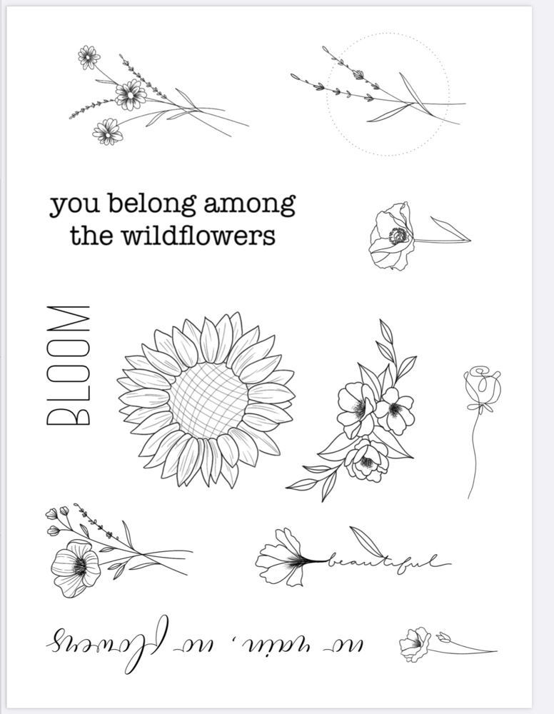 7356  You belong among the wildflowers