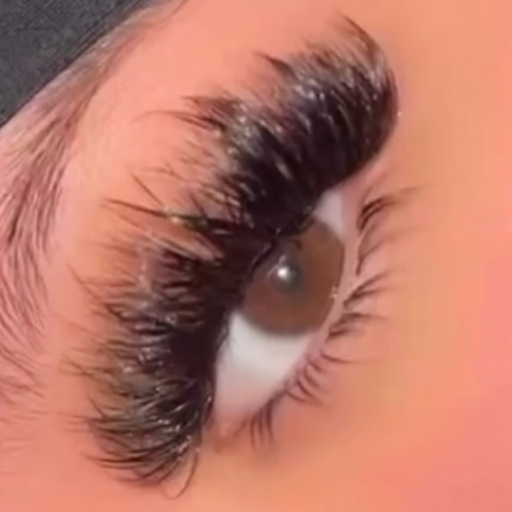 𝐀𝐝𝐝 𝐁𝐨𝐭𝐭𝐨𝐦 𝐋𝐚𝐬𝐡𝐞𝐬 at LASHESXMK in Rockford, IL