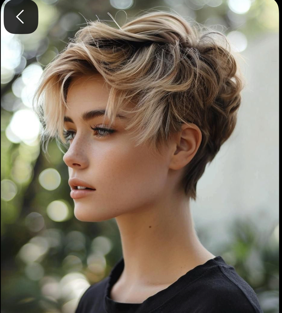 short Hair Partial / Balayage