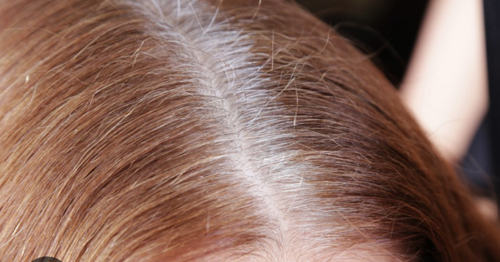 Root & Run @ 7-8 Weeks