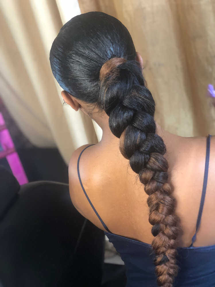 Sleek Braided Pony