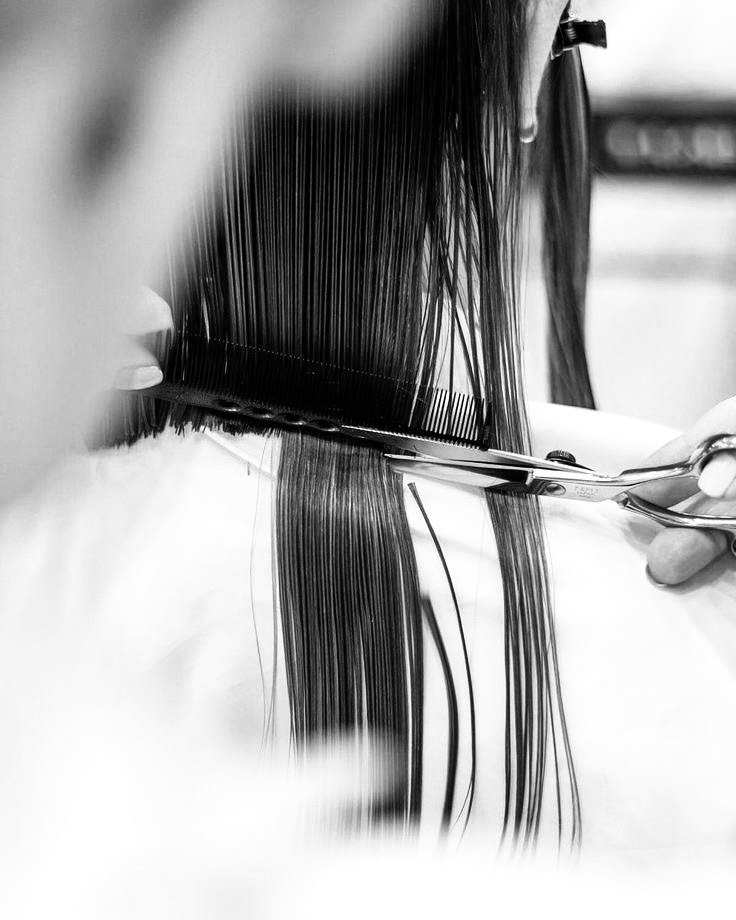 Haircut + Blowdry