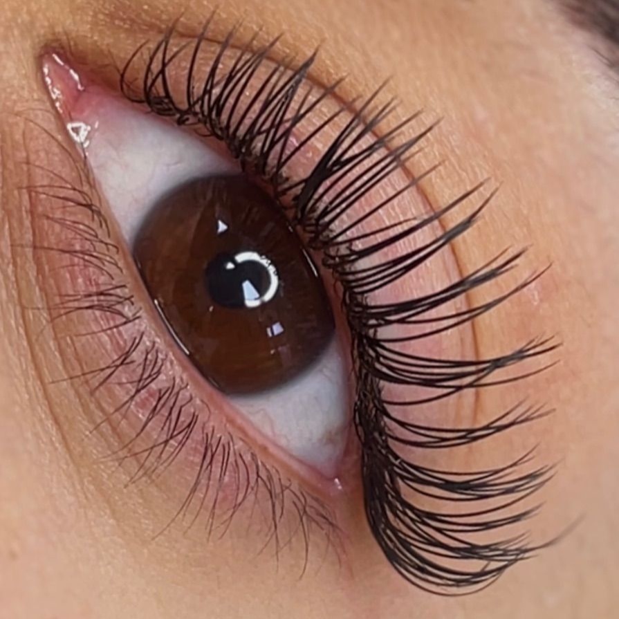 Classic Lash Extension Touch up at JE Beauty & Spa in duluth, GA