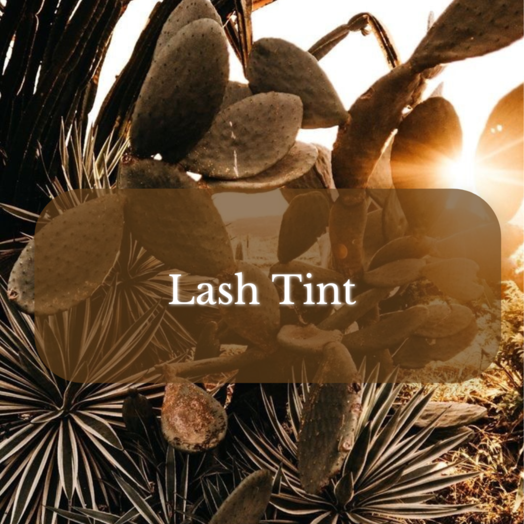 Lash Tint at Magnolia on Main in Keene, NH